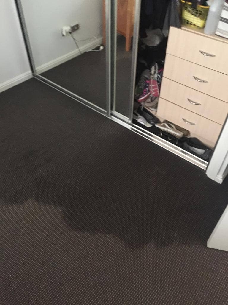 Wet Carpet Repair Sydney