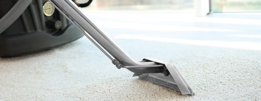 carpet cleaning central coast