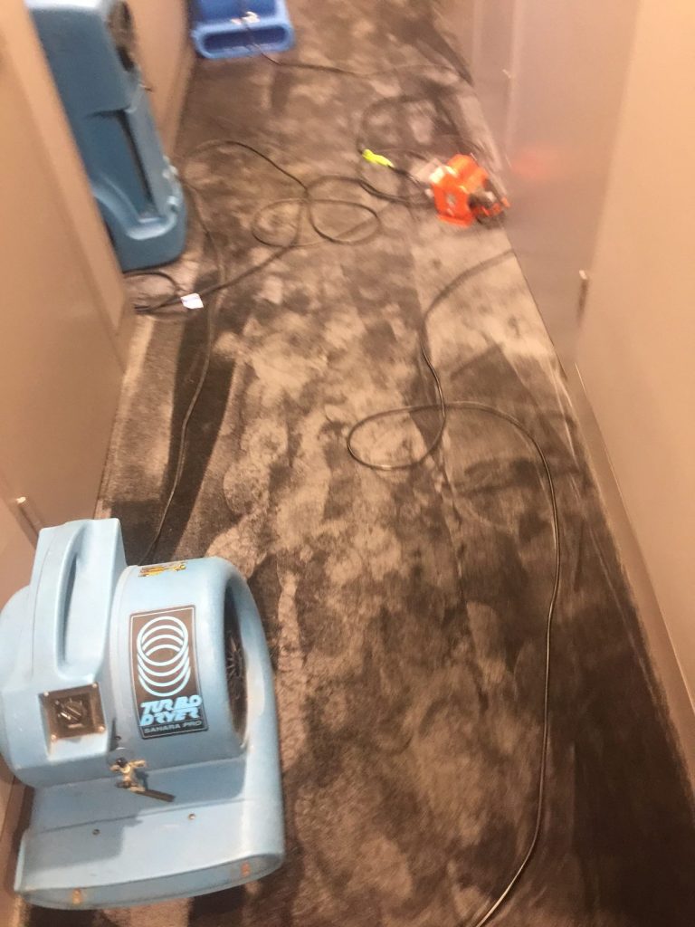 Flood Damage Carpet Cleaning Sydney