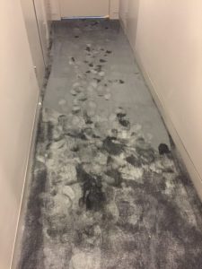 Flood Damage Carpet Cleaning Sydney