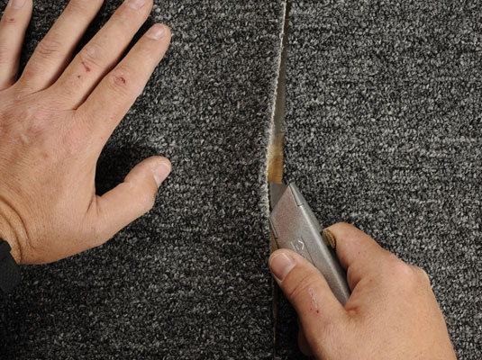 Carpet Torn Repair Sydney