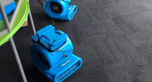 wet carpet drying Sydney